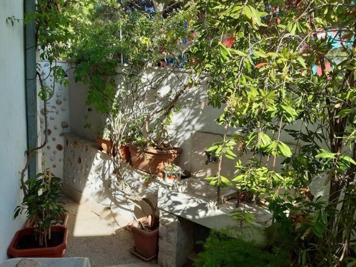 Apartment Biljana 波尔 外观 照片
