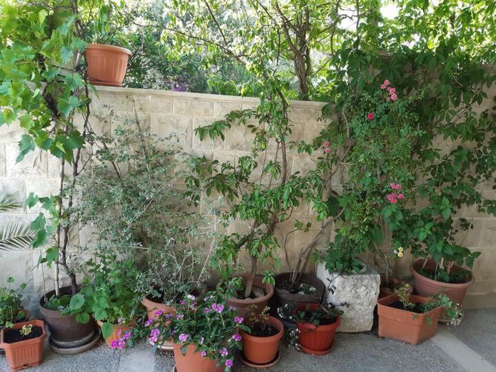 Apartment Biljana 波尔 外观 照片