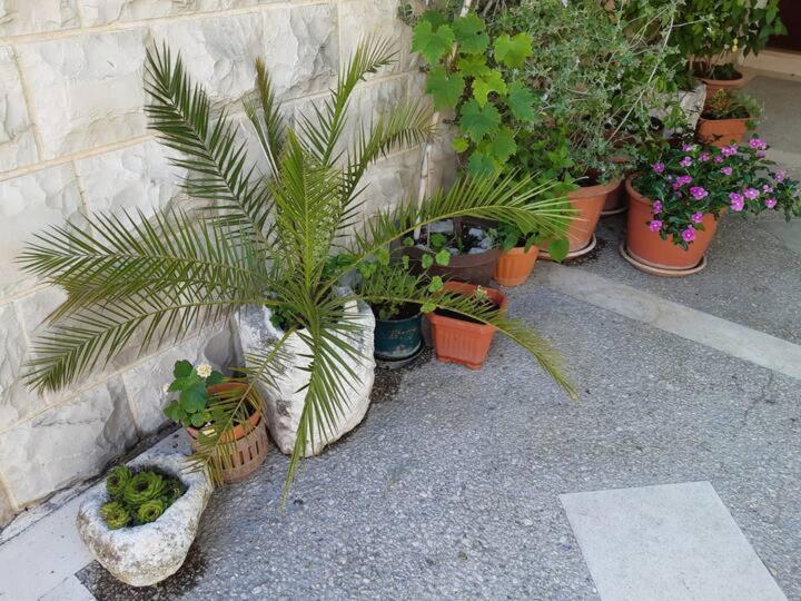 Apartment Biljana 波尔 外观 照片